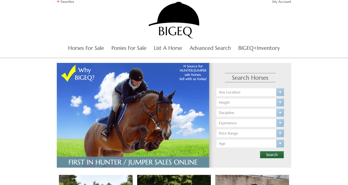 BigEq screenshot